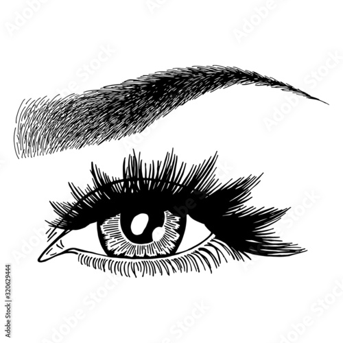 Illustration with woman's eye, eyelashes and eyebrow. Makeup Look. Tattoo design. Logo for brow bar or lash salon.