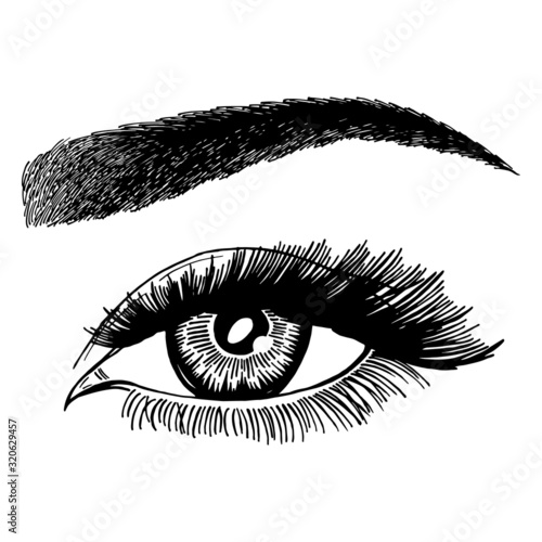 Illustration with woman's eye, eyelashes and eyebrow. Makeup Look. Tattoo design. Logo for brow bar or lash salon.