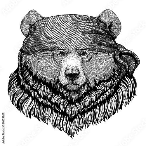 Bear. Wild animal wearing pirate bandana. Brave sailor. Hand drawn image for tattoo, emblem, badge, logo, patch