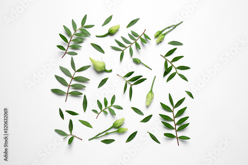 Layout with flower buds and green branches on white background, top view. Floral card design