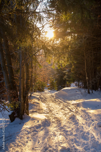 A mountain trail in the Carpathians with sunrays reflecting in the snow near sunset and beautiful coniferous forest, Krawcow Wierch trail, Beskid Zywiecki, Poland