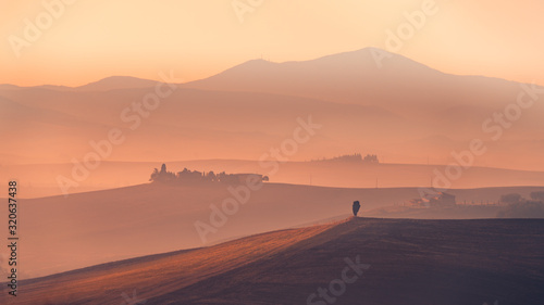 Beautiful wide angle view of Tuscany hills at pink hour sunrise. Travel destination Tuscany  Italy