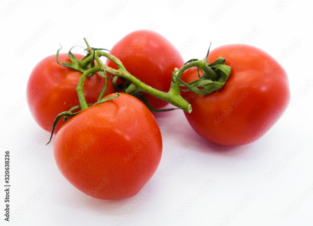 fresh tomatoes isolated on white background fresh tomatoes isolated on white background