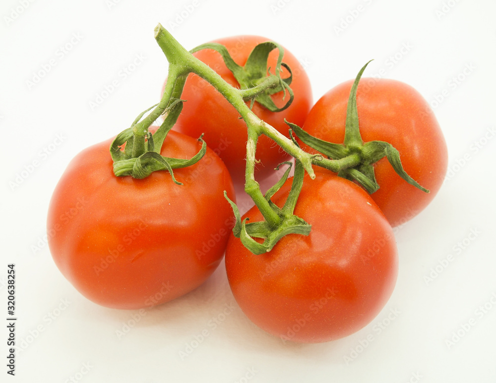 tomatoes isolated on white background tomatoes isolated on white background