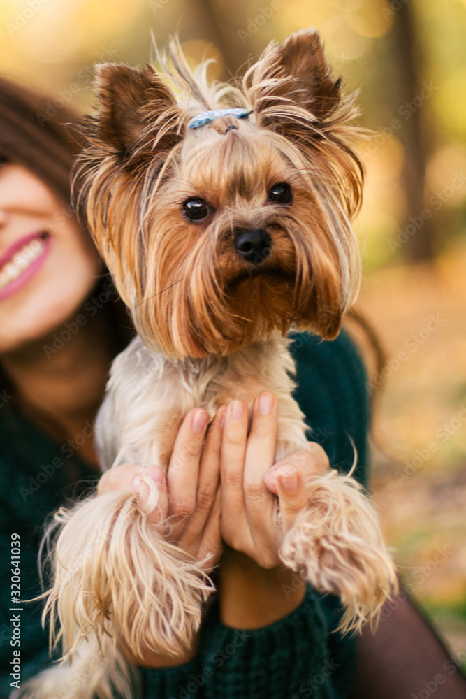 Beautiful woman playing with dog in the park Beautiful woman playing with dog in the park