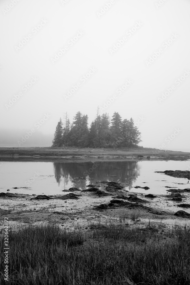 fog island