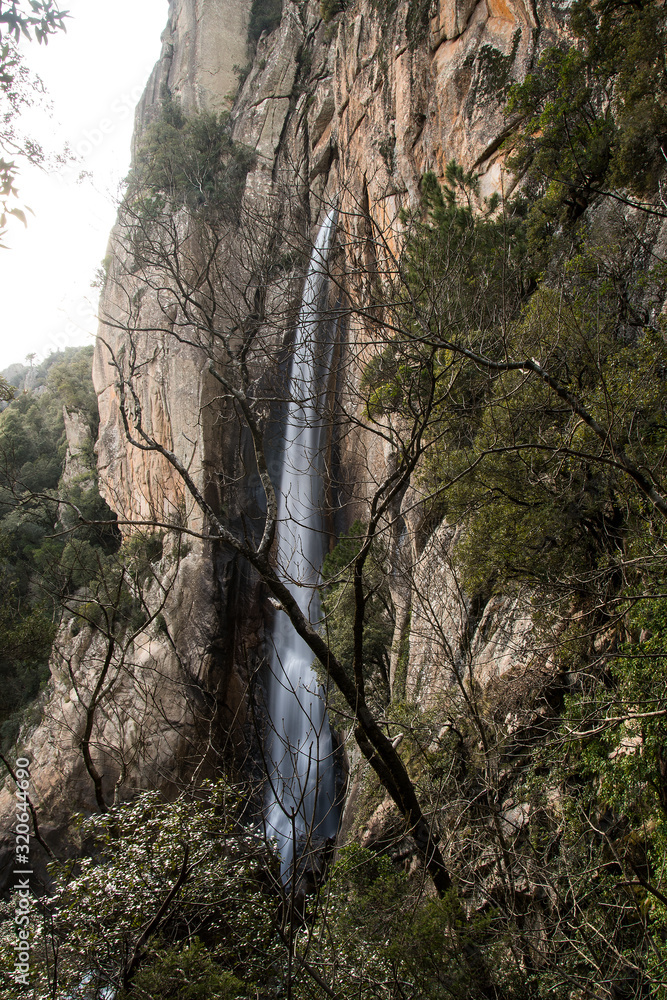 piscia di gallo cascata