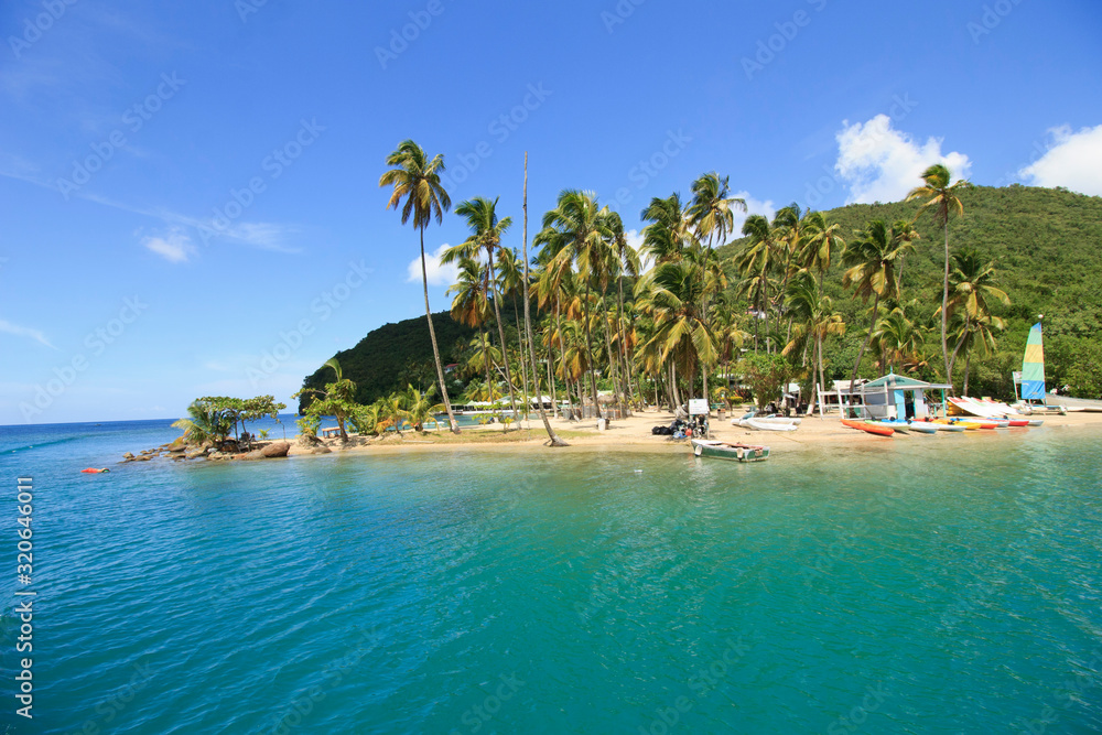 tropical island with emerald green sea, blue sky and tall coconut trees