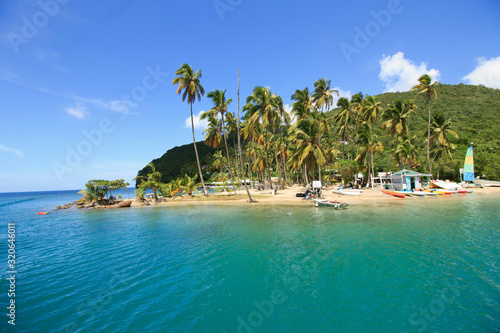 tropical island with emerald green sea, blue sky and tall coconut trees