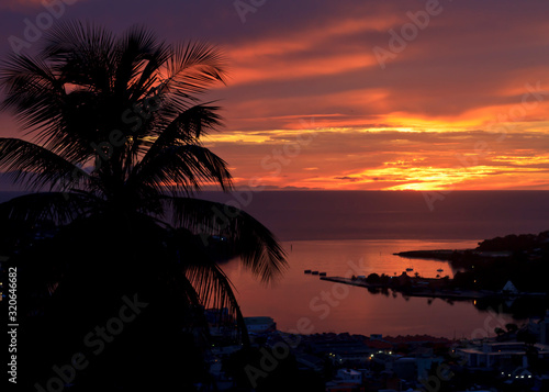 Breathtaking sunset, inferno in the sky with reds and oranges and yellows and the silhouette of a coconut tree and reflection on the water in the harbor