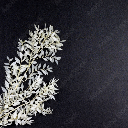 Decorative composition on a dark background, white branches with leaves. Flat lay, top view, copy space.