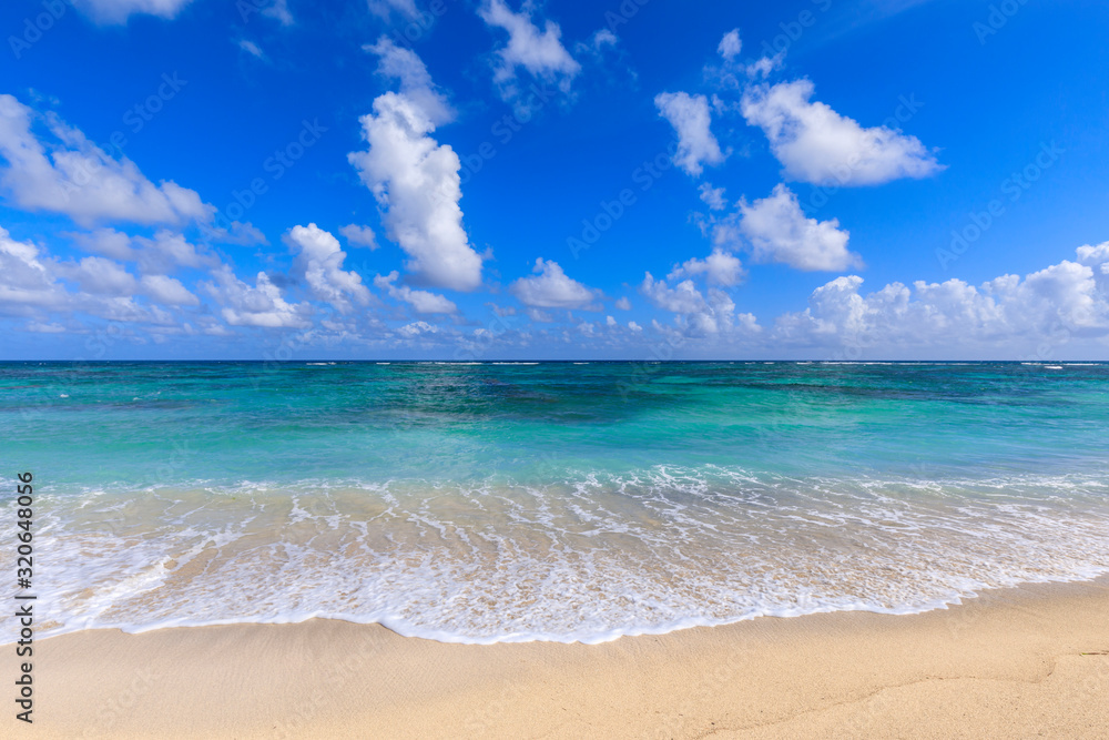 Nisbet Beach, turquoise sea, Nevis, St. Kitts and Nevis Nisbet Beach, turquoise sea, Nevis, St. Kitts and Nevis