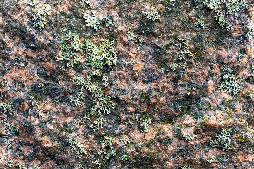 Background Granite stone slab. Background Granite stone slab.