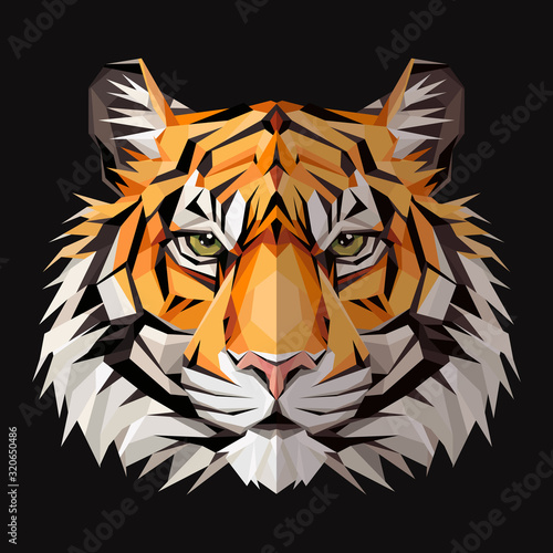 Tiger low poly triangular design. Triangle vector illustration isolated on white