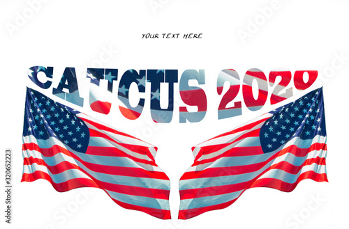 Fotografie, Obraz caucus 2020 for usa presidential election with usa flags