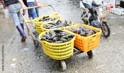Canvas Print Chinese typical fish and living animals market