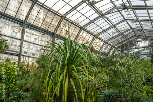 Lush indoor jungle in vintage greenhouse setting. Shot in daylight at Charles University Botanical Gardens, Prapgue. Central European architecture outside.