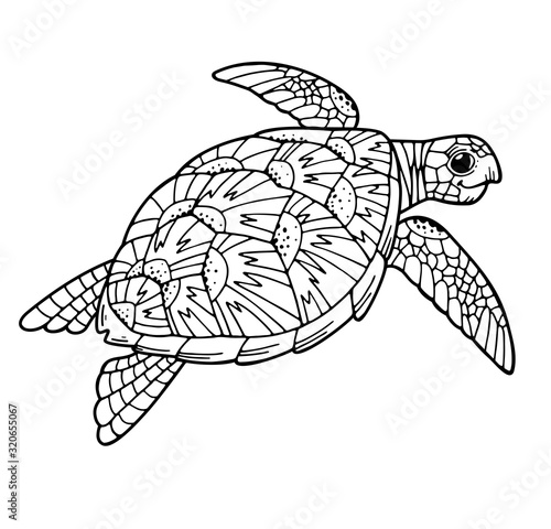 Сoloring book cute funny sea turtle
