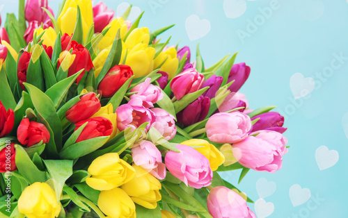Tulip Flowers spring blossoms blue background hearts bokeh