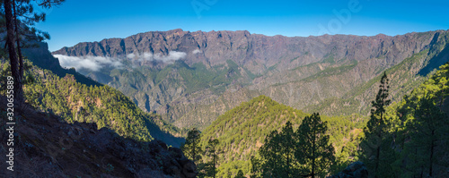 Panoramic volcanic landscape and lush pine tree forest, pinus canariensis view from Mirador de la Cumbrecita at national park Caldera de Taburiente, volcanic crater in La Palma, Canary Islands, Spain