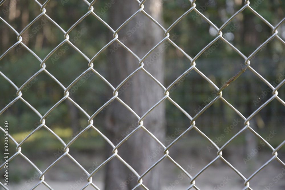 lines fence lines fence