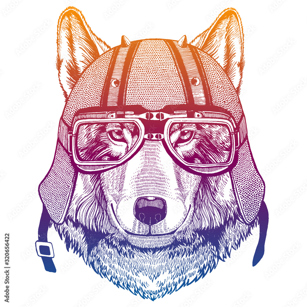Wild wolf wearing motorcycle helmet. Speed and road. Vintage style vector illustration. Face of dangerous animal. Portrait of biker. Realistic head of werewolf hunter. Stock Vector | Adobe Stock Wild wolf wearing motorcycle helmet. Speed and road. Vintage style vector illustration. Face of dangerous animal. Portrait of biker. Realistic head of werewolf hunter. Stock Vector | Adobe Stock