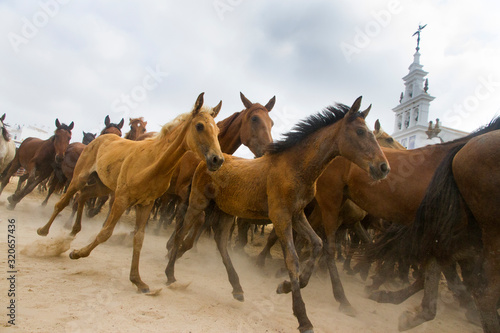horse party in El Rocio