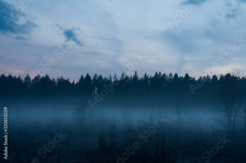 Spring Landscape Of Forest Covered With Fog In Morning Or Evening.