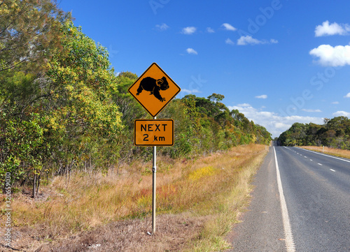 Koala Bear Warning Sign On Bruce Highway Queensland Australia