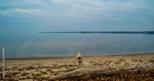 Log on the sandy shore of a calm sea