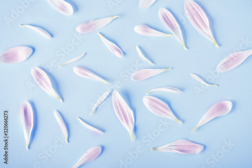 flower petals background