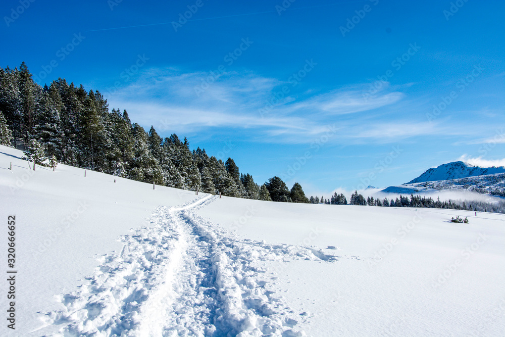 hiking tracks / footsteps in the snow