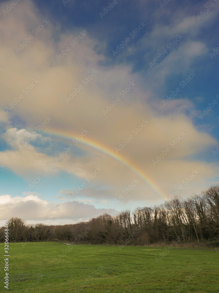 Colorful rainbow in a cloudy sky over trees in a forest and a green field. Nature background. Colorful rainbow in a cloudy sky over trees in a forest and a green field. Nature background.