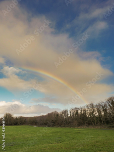 Colorful rainbow in a cloudy sky over trees in a forest and a green field. Nature background.