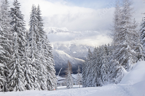 trees covered with snow at the pistes of Schladming ski resort