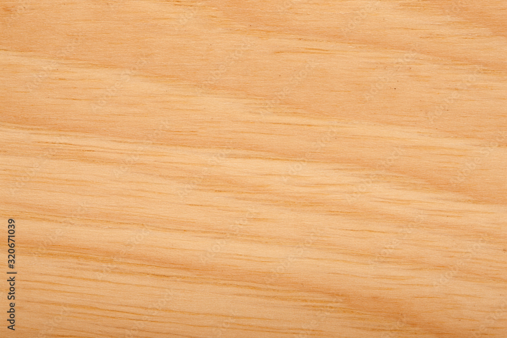 Fototapeta premium Wood Close up