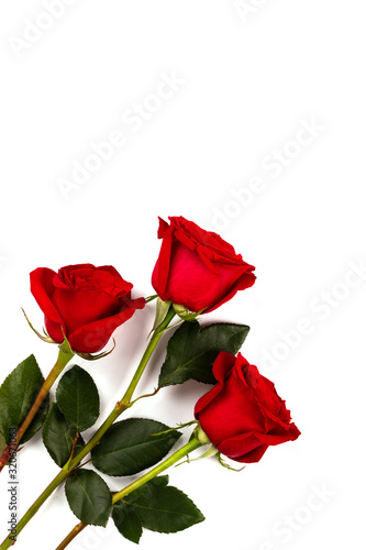 Red Bouquet of fresh roses .Traditional gift holiday