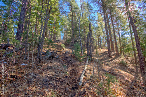 A section of the Telephone Trail north of Sedona AZ that is soft and muddy. It is also very steep at a 45 degree angle. Climbing it can be difficult without proper footwear.