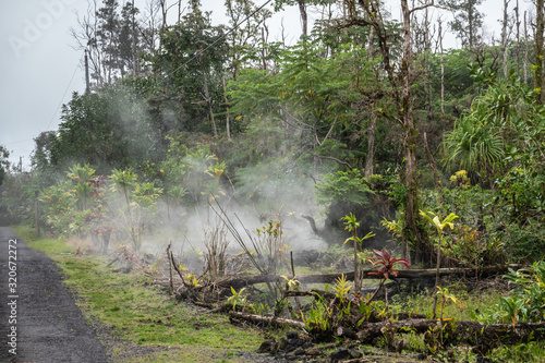 Leilani Estate  Hawaii  USA. - January 14  2020  Devastation in parts untouched by 2018 lava. Poisonous gases and vapors escape floor of florest with plant and dead trees.