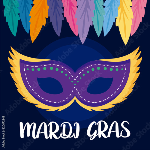 Mardi gras mask with feathers vector design