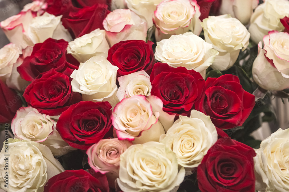 Bouquet of red and white roses. Bouquet of red and white roses.