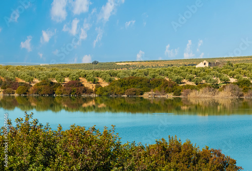 Fototapeta Naklejka Na Ścianę i Meble -  Lago con reflejo en el agua de arbustos, cielo con nubes y azulado o