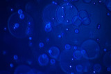 abstract background bubble with particles, abstract background with lights  