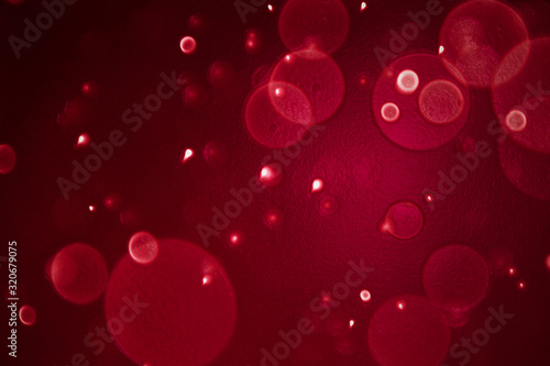 abstract background bubble with particles, abstract background with lights 