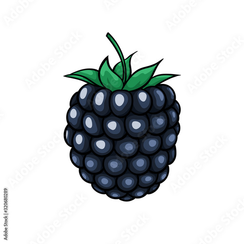 Beautiful cartoon blackberry, symbol of summer. design for holiday greeting card and invitation of seasonal summer holidays, beach parties, tourism and travel,