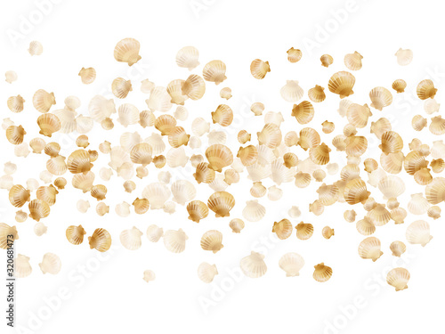 Gold seashells isolated, pearl bivalved mollusks