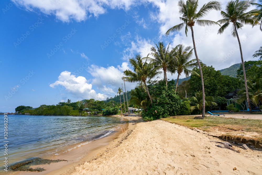 Obraz premium koh chang beach in clearly blue sky and coconuts for summer time