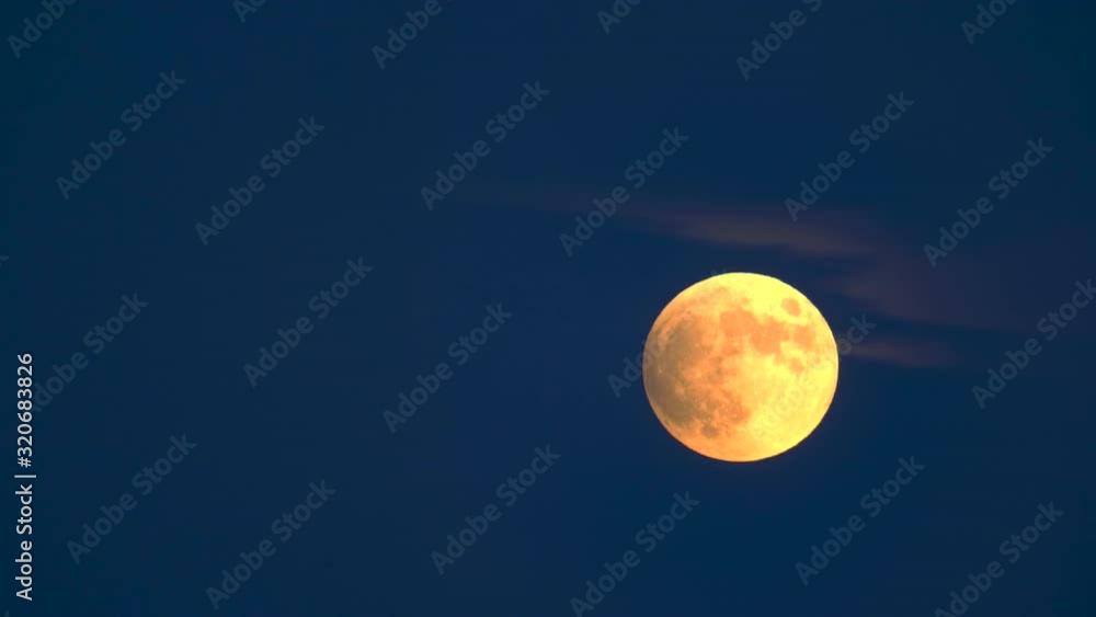 Yellow Full Moon Going Up And Crossing A Thin Cloud In The Sky At Night Yellow Full Moon Going Up And Crossing A Thin Cloud In The Sky At Night