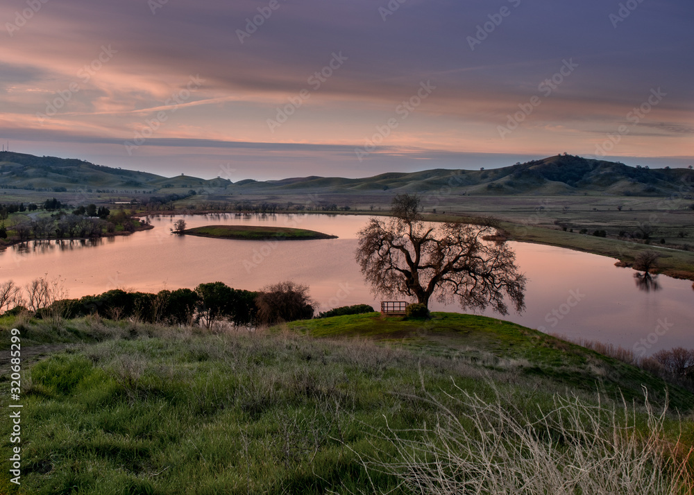 Lagoon Valley Park in the sunrise featuring a lone oak tree and a lake, Vacaville, CA, USA