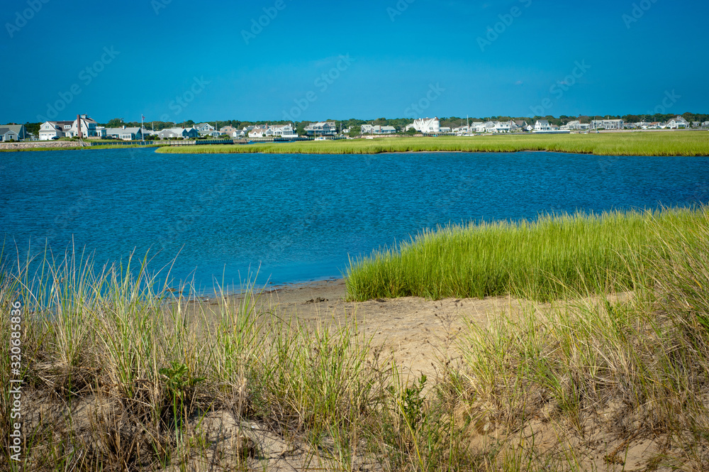 Estuary and grasses in coastal area of Cape Cod, Massachusetts